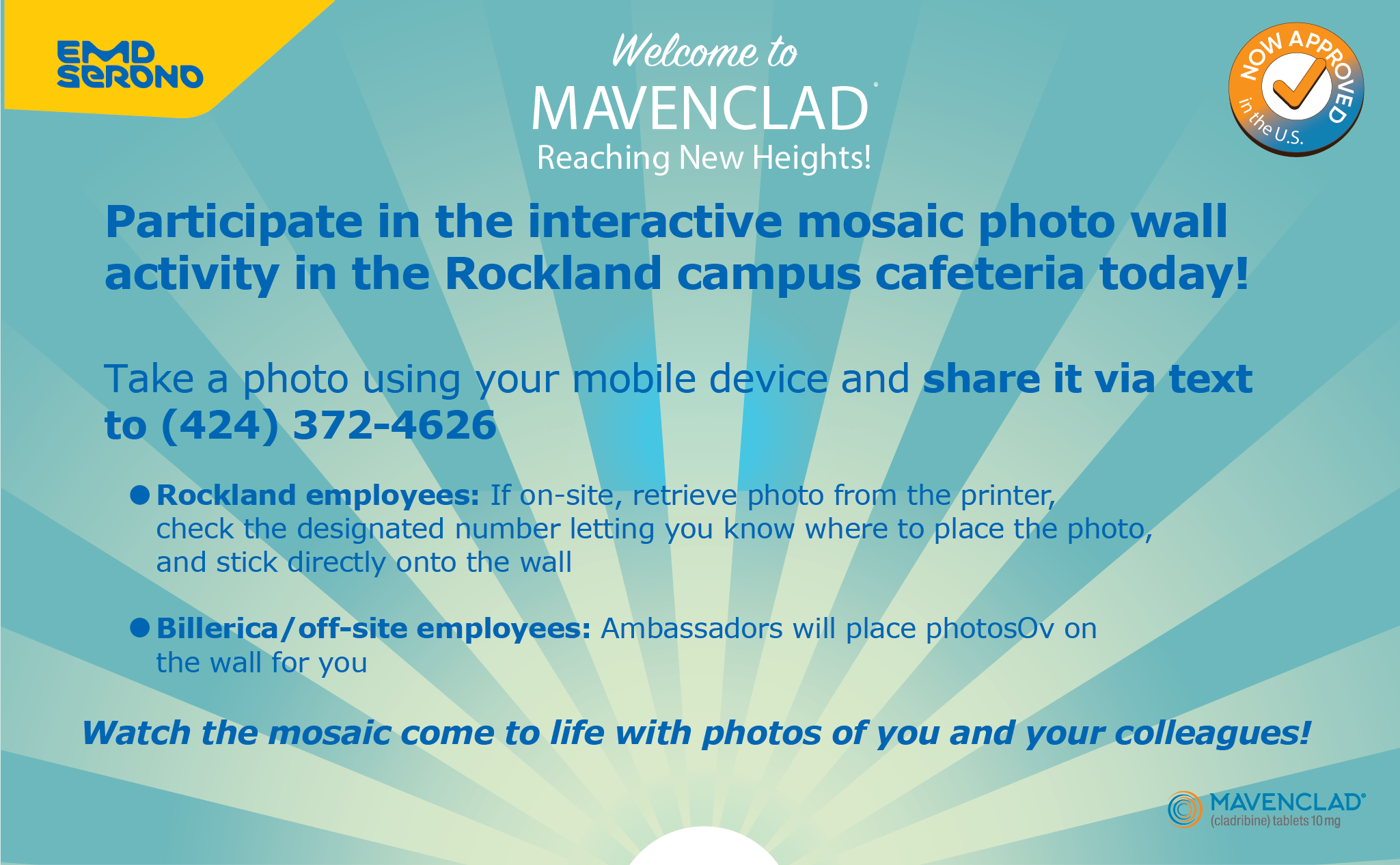 Mavenclad Mosaic Wall