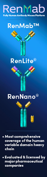 RenMab Banner Ad 160x600