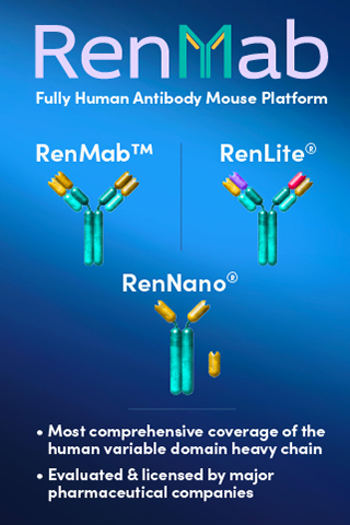 RenMab Banner Ad 320x480