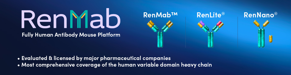 RenMab Banner Ad 970x250