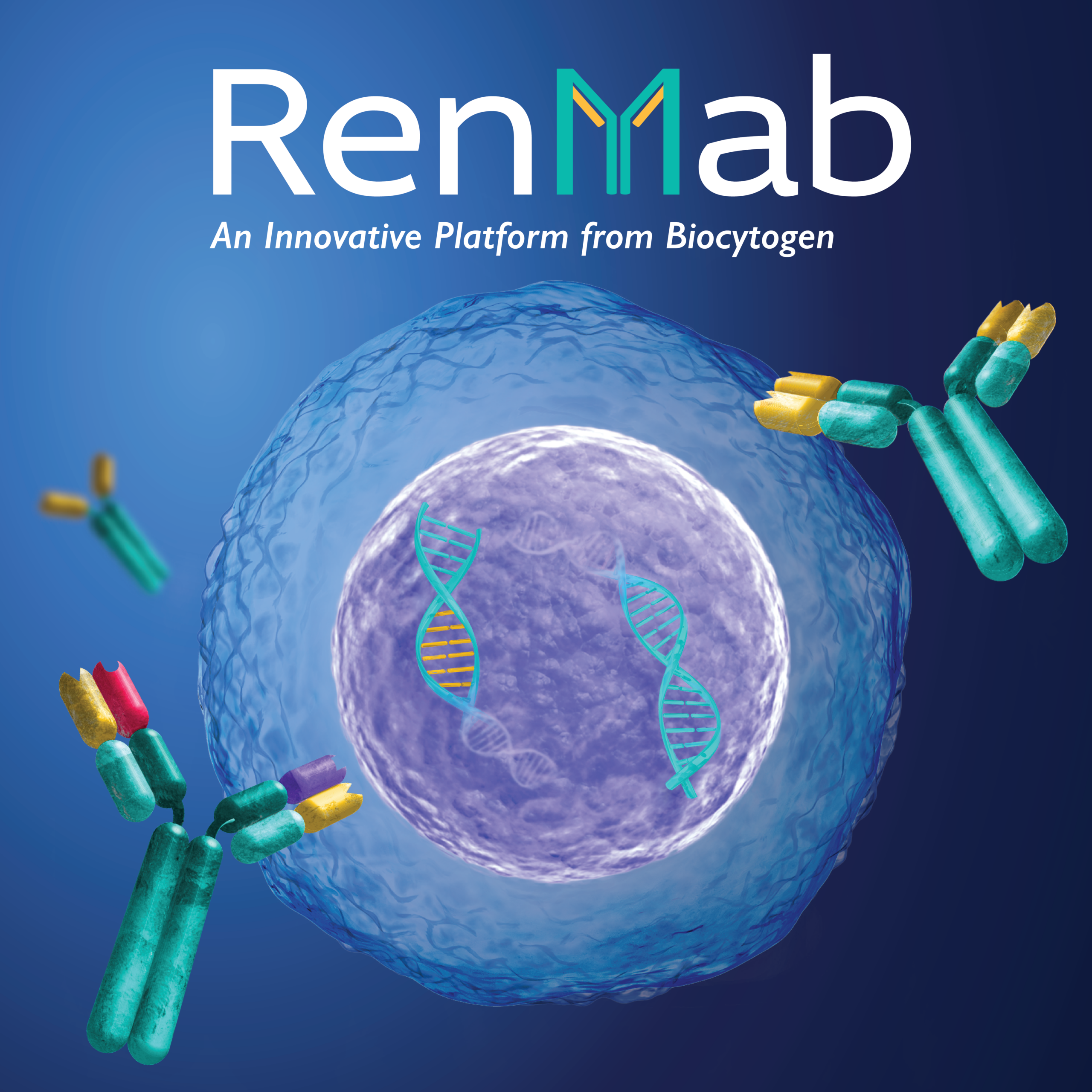 RenMab T-Shirt Design