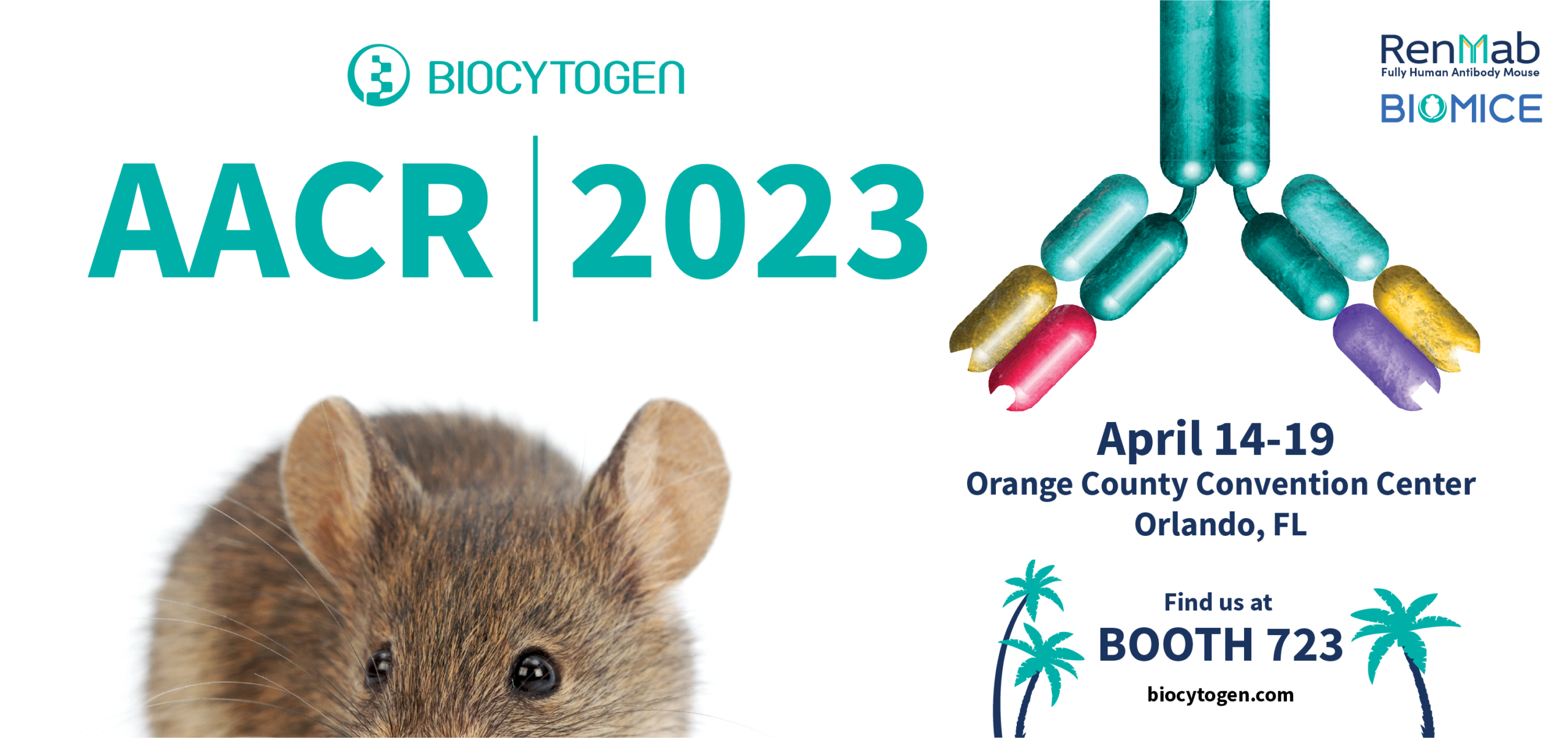 AACR 2023 Banner