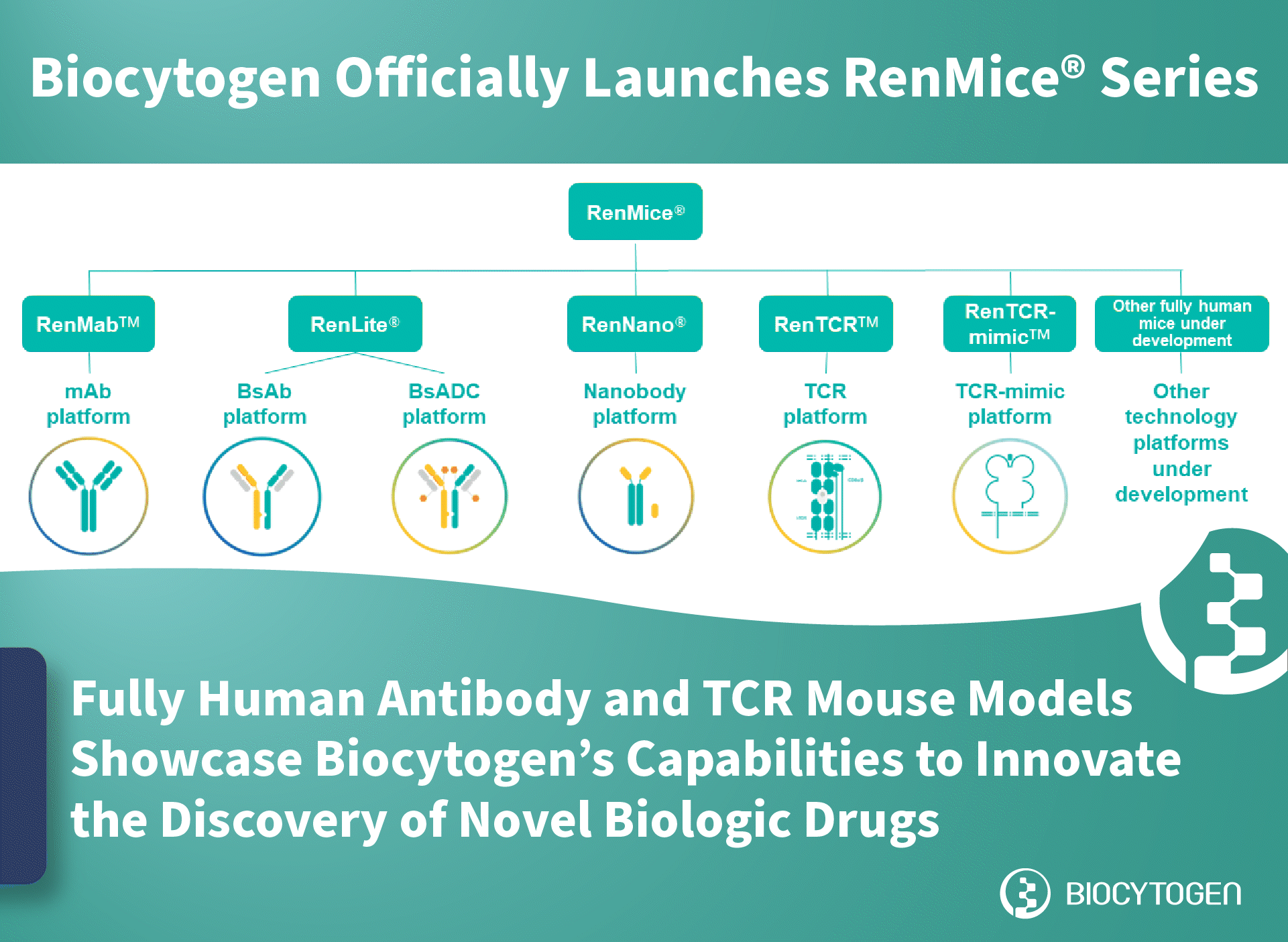 RenMice Series Launch